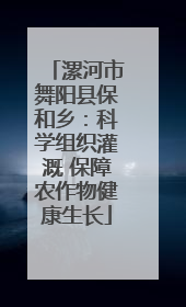 漯河市舞阳县保和乡：科学组织灌溉 保障农作物健康生长